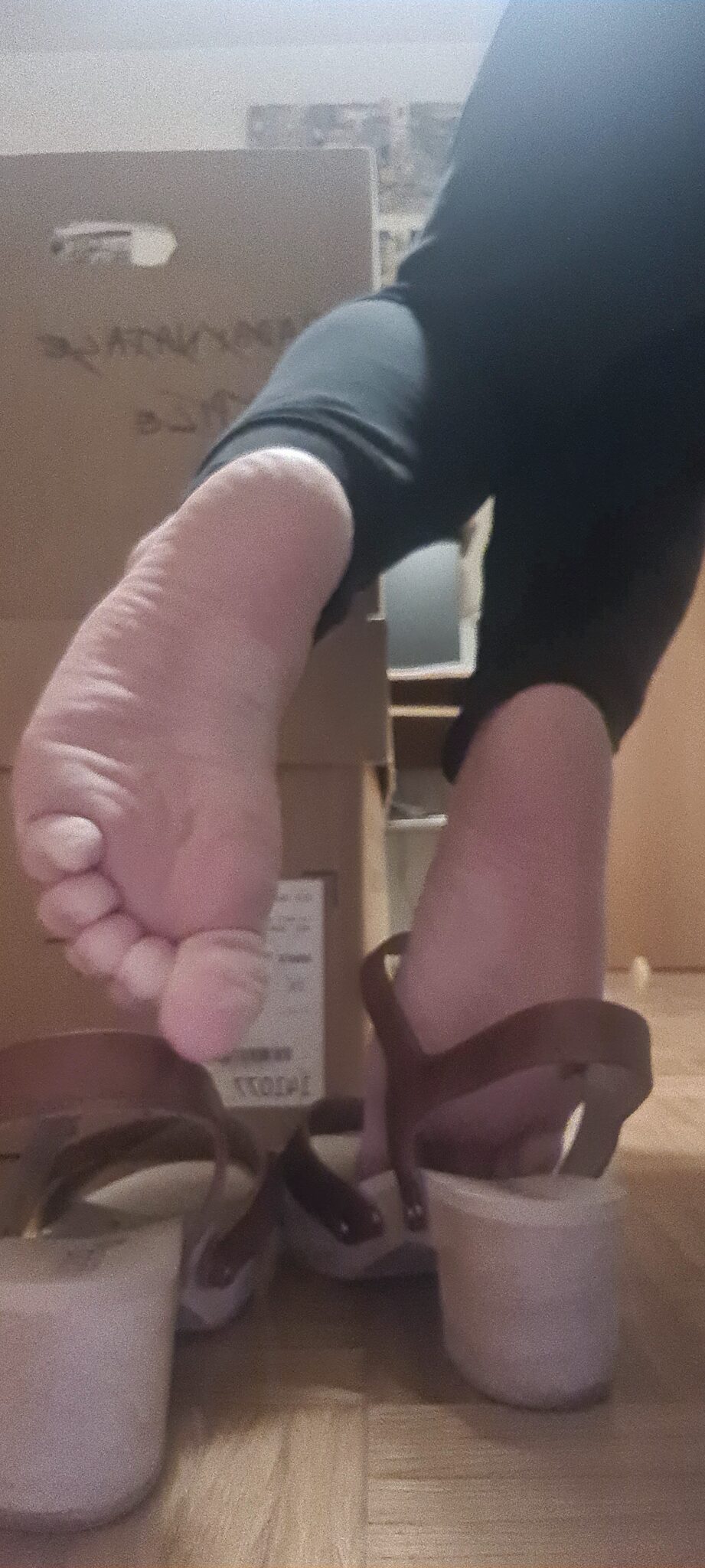 cuckold humiliation cuckold feet cuckold stories pussy licking cuckold foot worship  hotwife caption Bow to her feet 