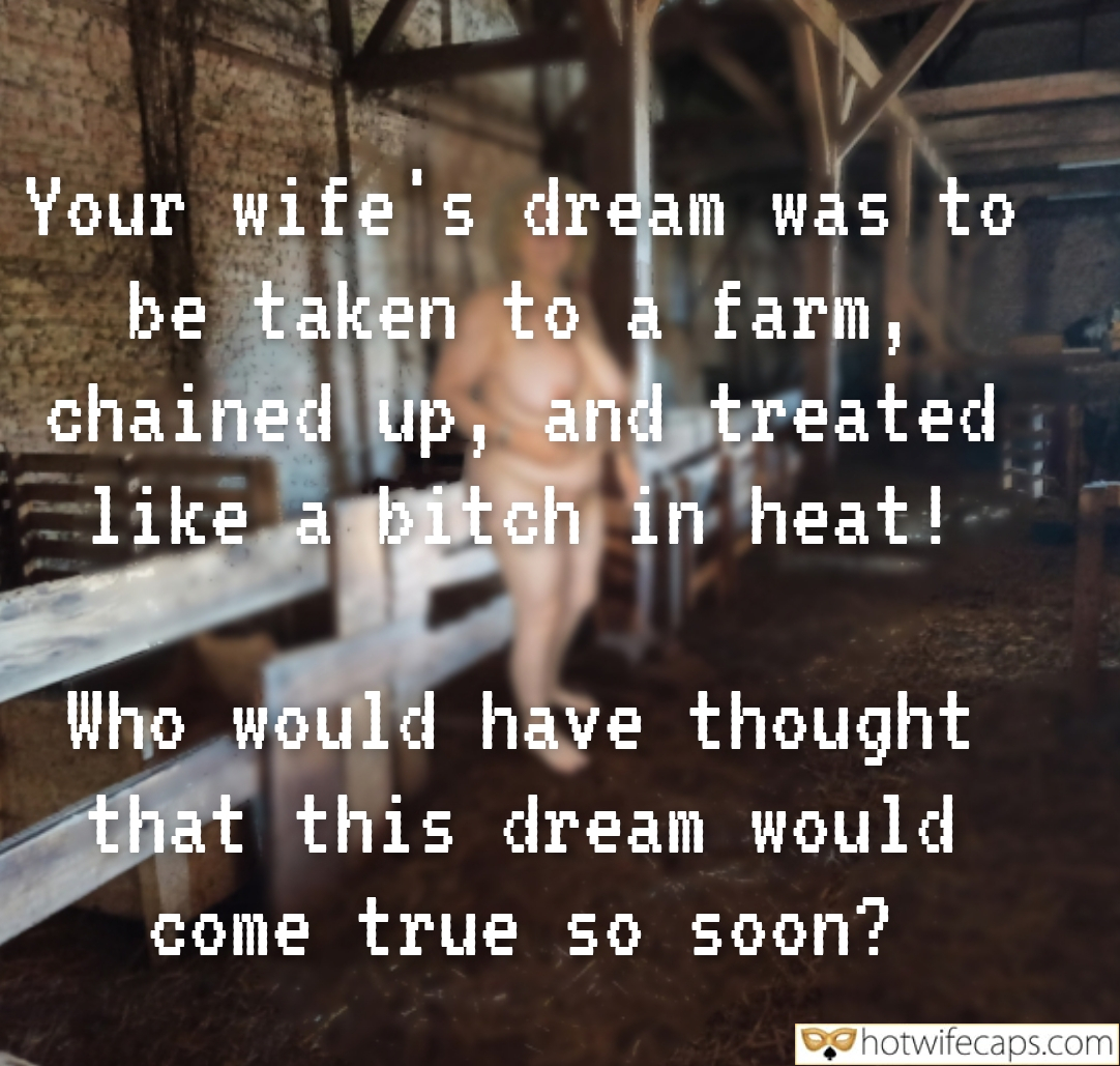 my favourite  hotwife caption Chained and Teased: My Hotwife Fantasy Comes to Life on the Farm 