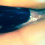 porn gifs with caption