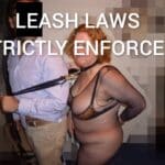 abdl chastity captions