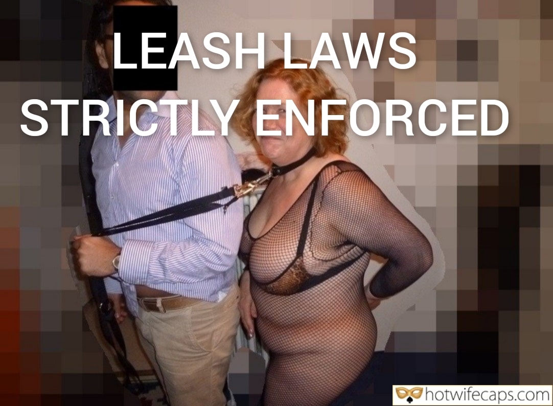 Wife Sharing Submitted by Users 🔥 Cuckold Stories Bull hotwife caption: A cuckold's journey of submission and humiliation, leashed and controlled by his dominant wife in a fishnet bodysuit, exploring power dynamics and public exp... Leashed and Exposed: My Wife’s Public Humiliation