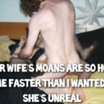 boss porn memes
