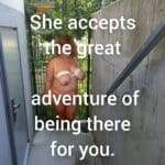 bbw gif caption porn